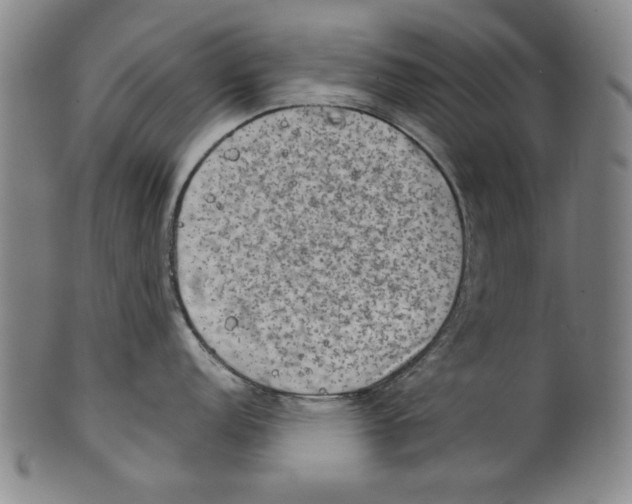 X0000099411152200806060926