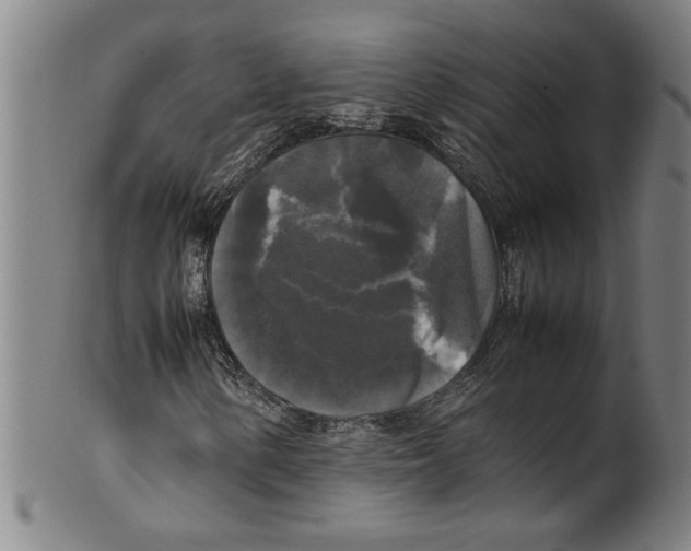 X0000099411154200806060925