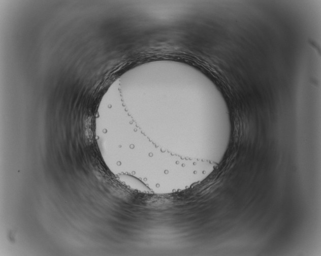 X0000099411156200806060925