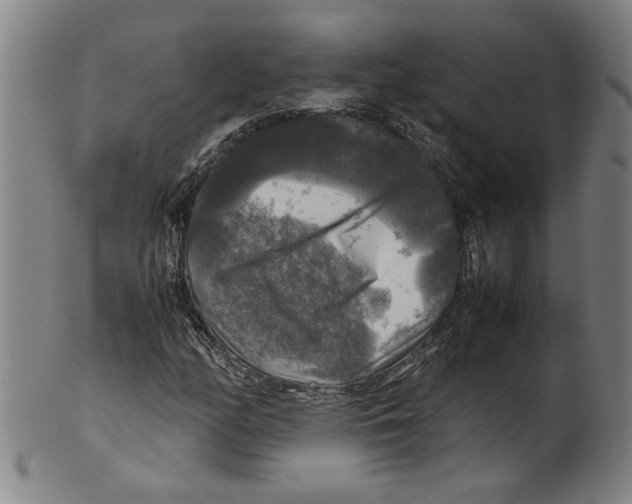 X0000099411158200806060925