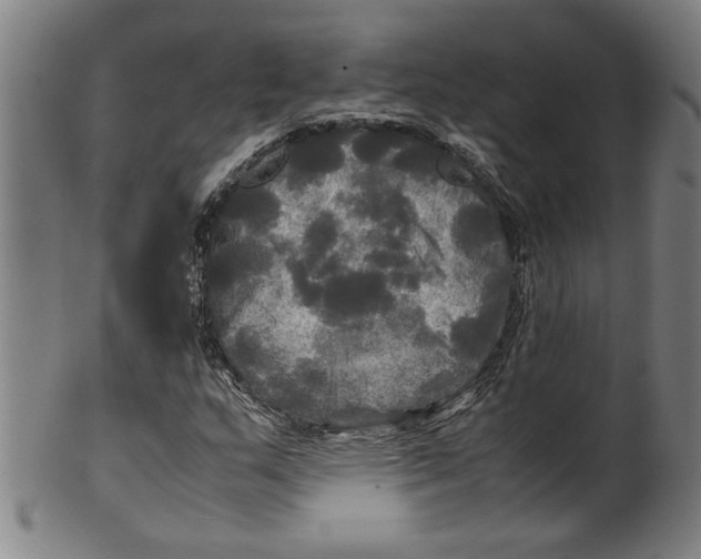 X0000099411159200806060925