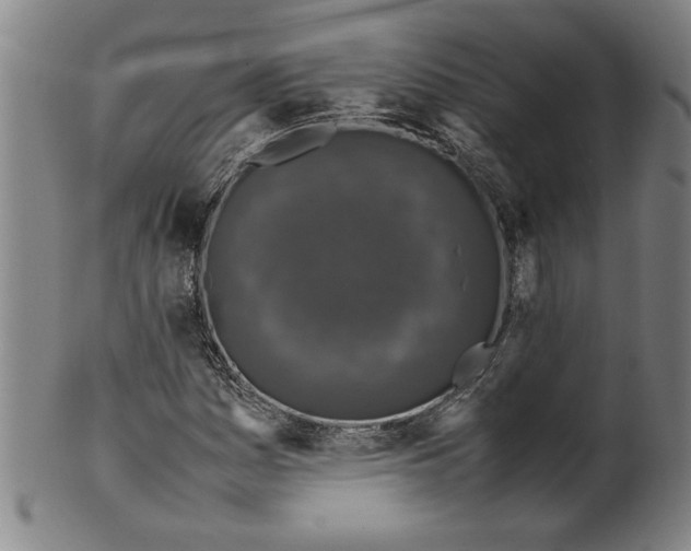 X0000099411161200806060925