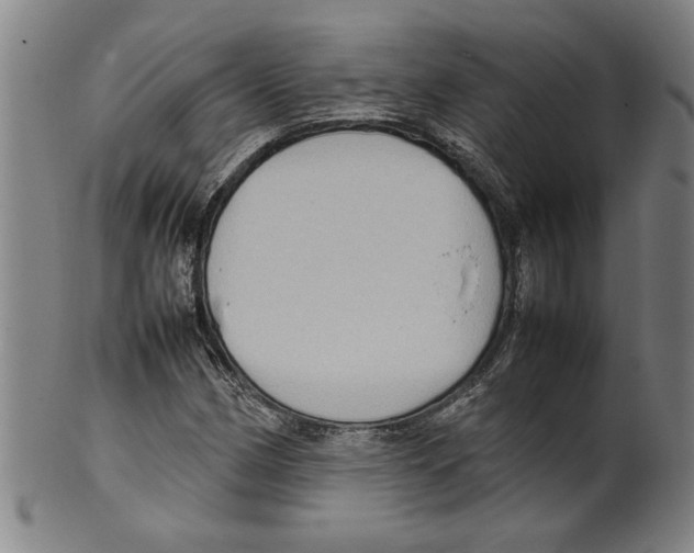 X0000099411162200806060925