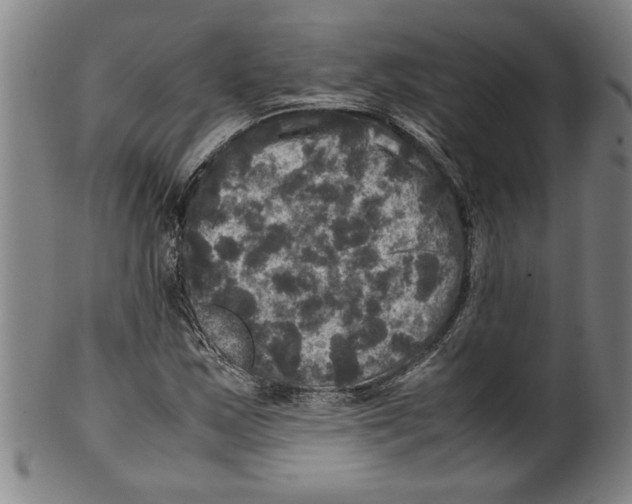 X0000099411163200806060925