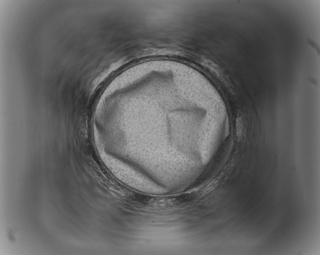 X0000099411165200806060925