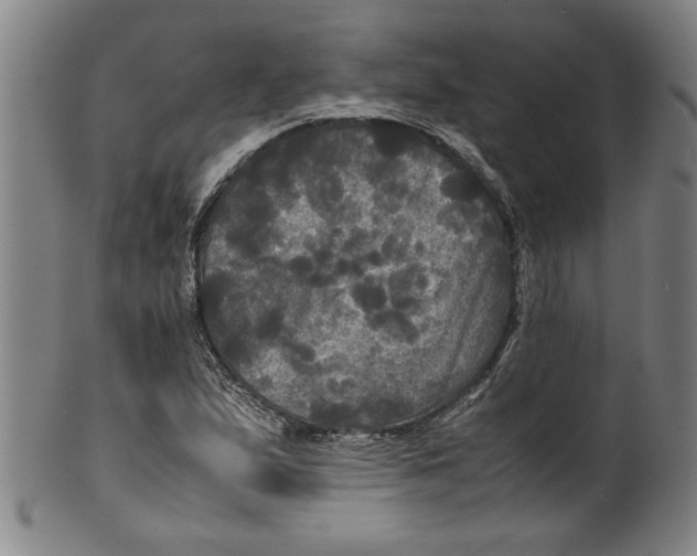 X0000099411167200806060925