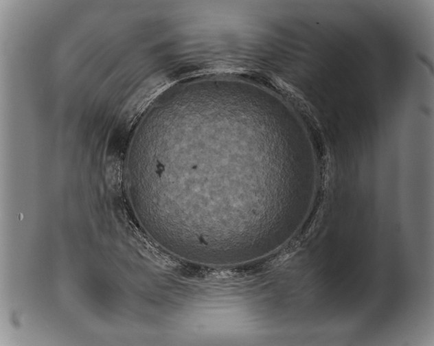 X0000099411169200806060925