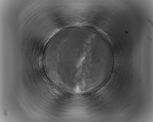 X0000099411170200806060924