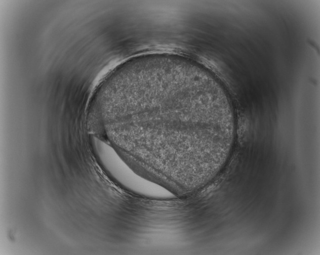 X0000099411172200806060924