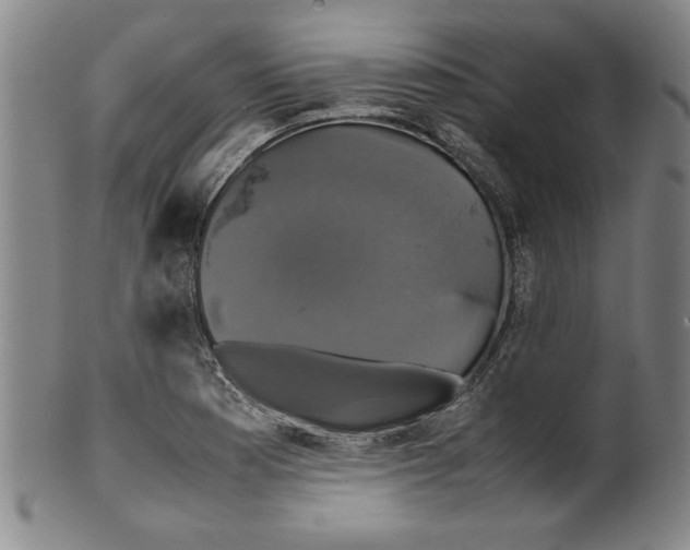 X0000099411177200806060924