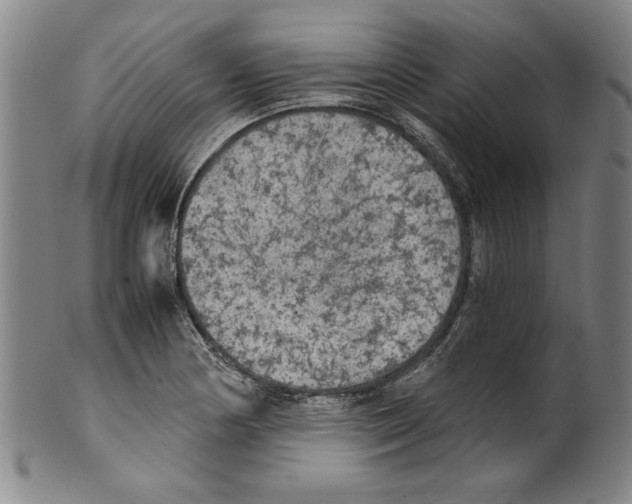 X0000099411178200806060924