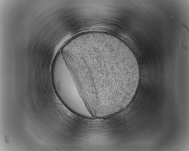 X0000099411180200806060924