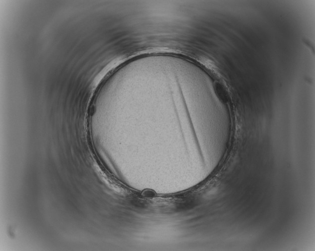 X0000099411181200806060924