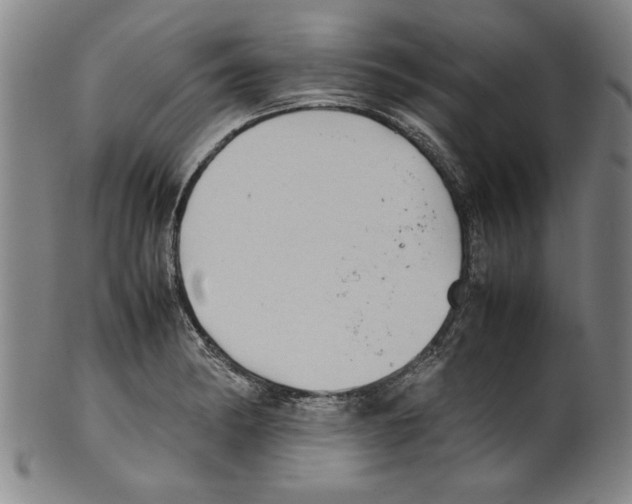 X0000099411182200806060924