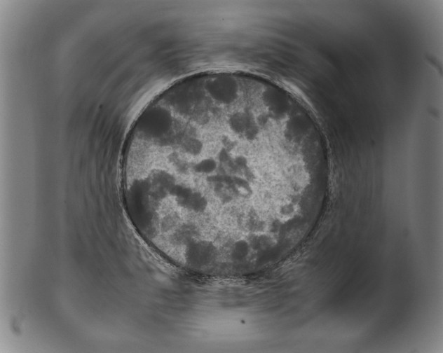 X0000099411183200806060924