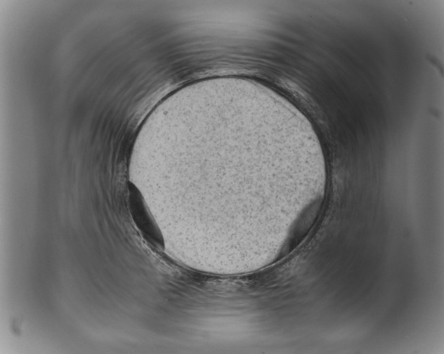 X0000099411185200806060924