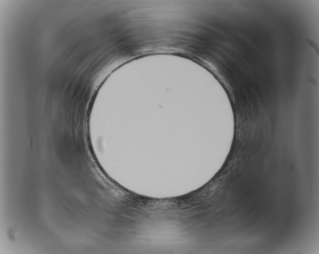 X0000099411187200806060924