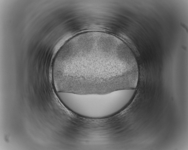 X0000099411188200806060924