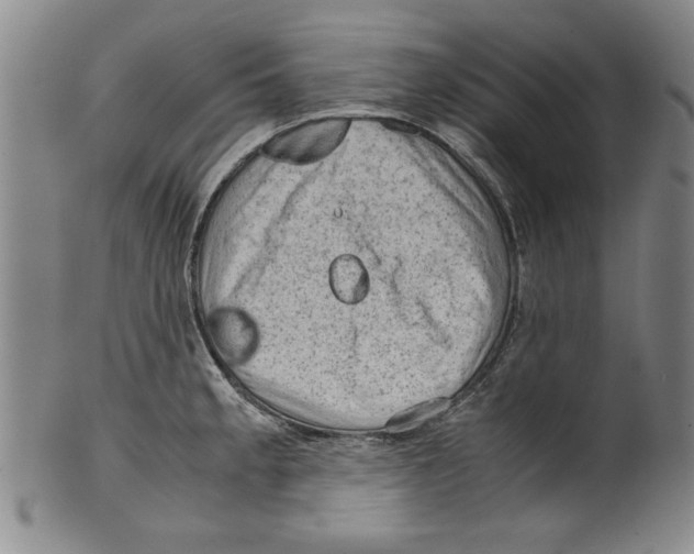 X0000099411189200806060924