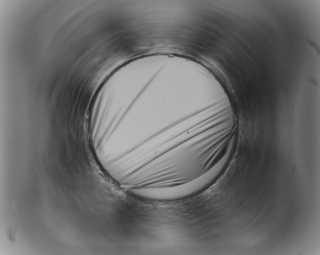 X0000099411190200806060924