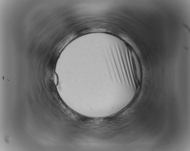 X0000099411193200806060924