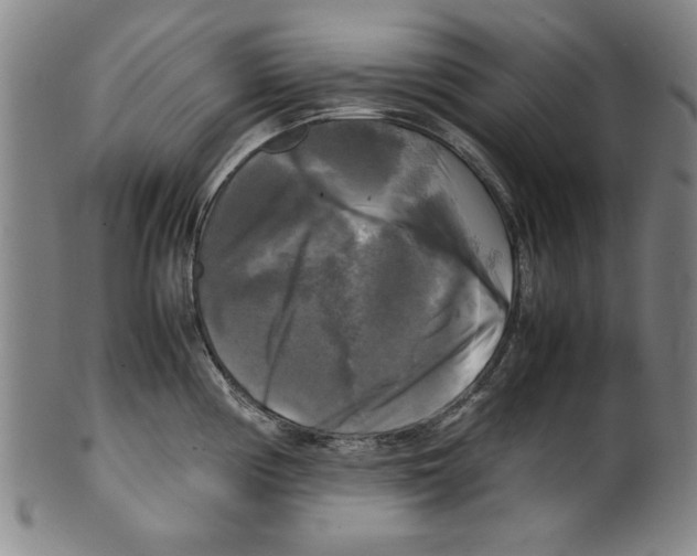 X0000099411194200806060924