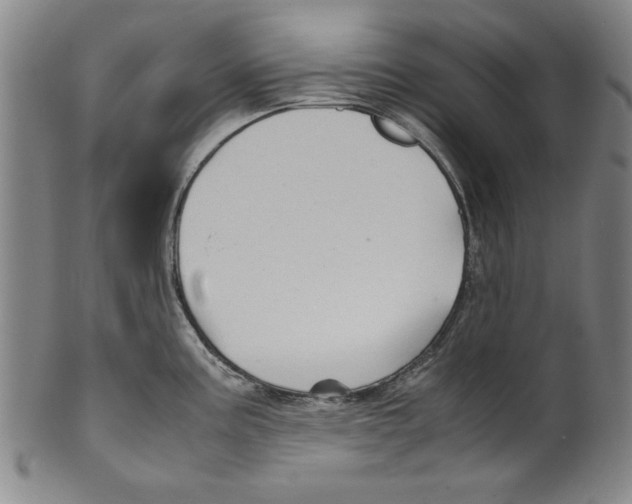 X0000099411195200806060924