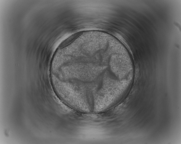 X0000099411197200806060924