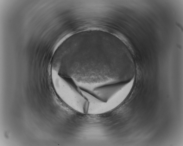 X0000099411198200806060924