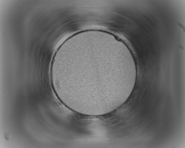 X0000099411199200806060924