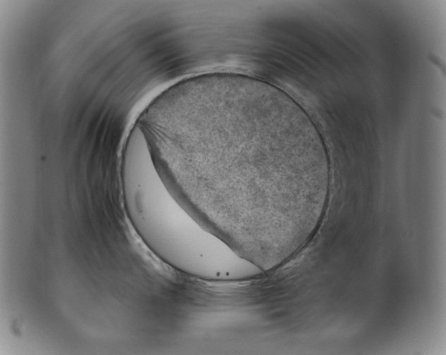 X0000099411200200806060924