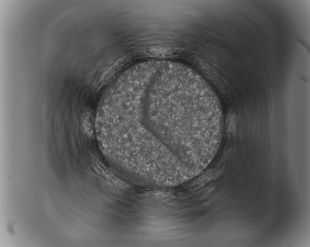 X0000099411202200806060923