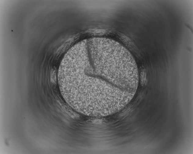 X0000099411204200806060923