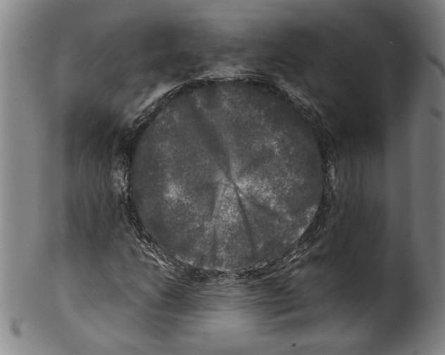 X0000099411206200806060923