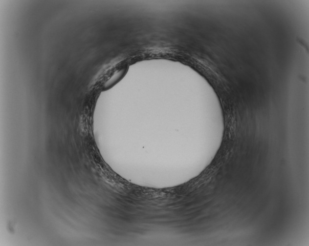 X0000099411207200806060923