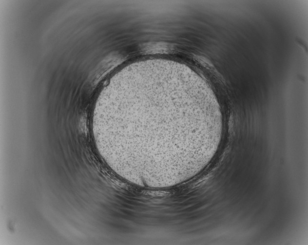 X0000099411209200806060924