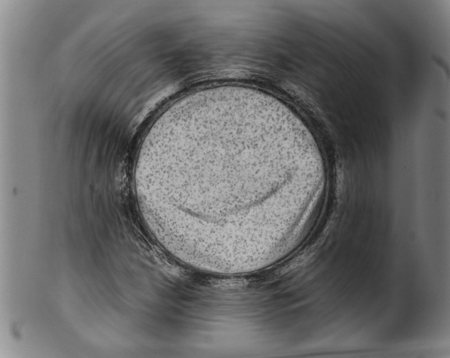 X0000099411210200806060924