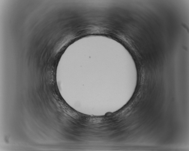 X0000099411211200806060924