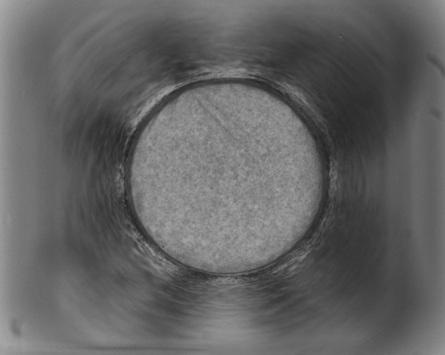 X0000099411212200806060924