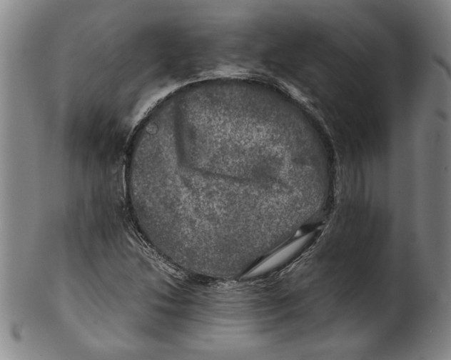 X0000099411214200806060924