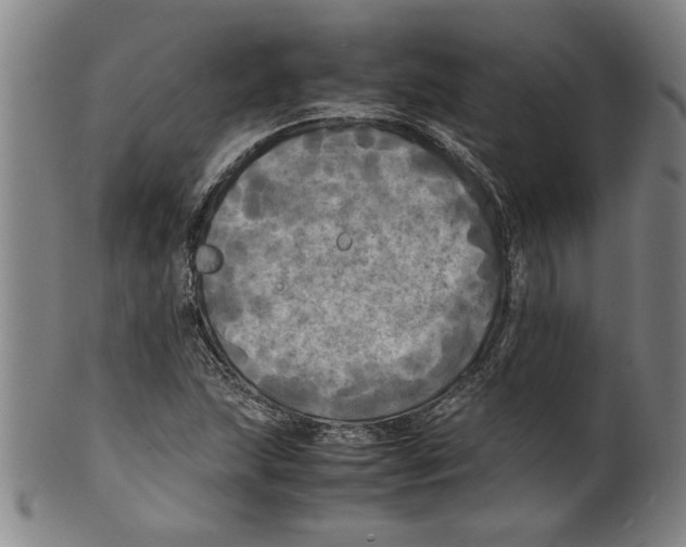 X0000099411215200806060924