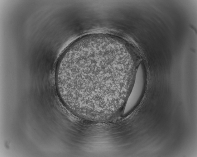 X0000099411216200806060924