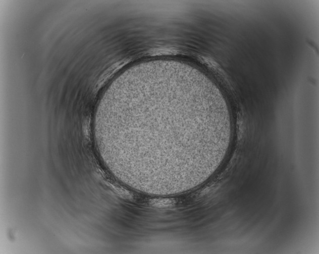 X0000099411217200806060924