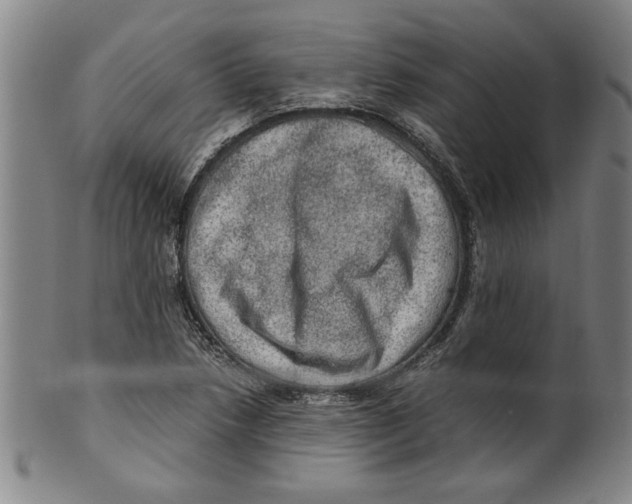 X0000099411218200806060924