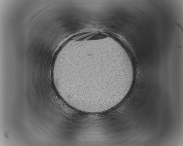 X0000099411220200806060924