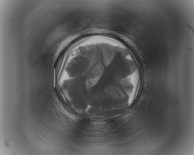 X0000099411223200806060924