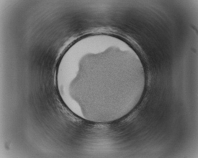 X0000099411224200806060924