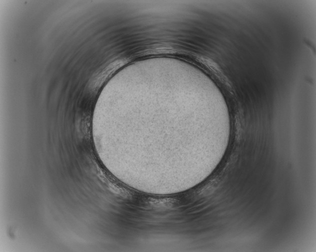 X0000099411225200806060924