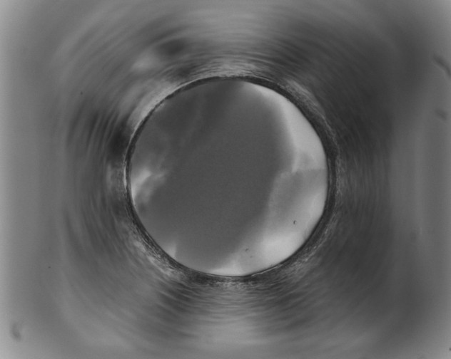 X0000099411226200806060924