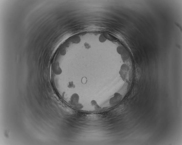 X0000099411227200806060924